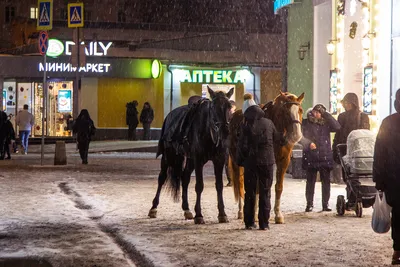 Фотогалерея Нового года: Москва в изысканных изображениях