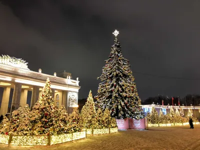 Новогодний альбом: фото Москвы в разных размерах и форматах