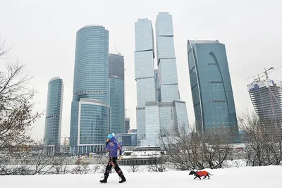 Ледяная симфония Москва-Сити: Фотографии ночного города