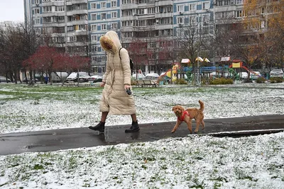 Фотография: Зимний пейзаж снежной Москвы