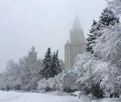 Зимний городской пейзаж Москвы: Разнообразие форматов