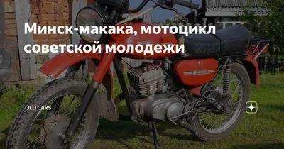 Уникальные фотографии: Мотоцикл макака в 4K разрешении