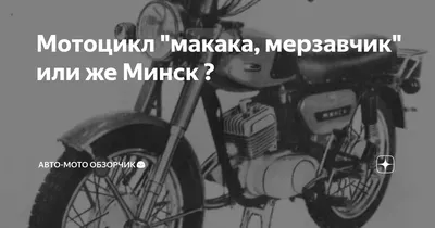 Экзотика и мастерство: Мотоцикл макака в объективе камеры.