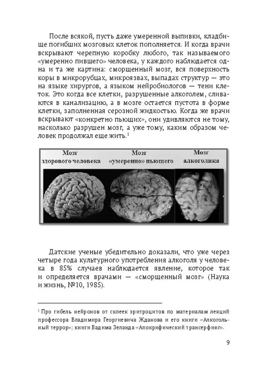 Как алкоголь на самом деле влияет на клетки нашего мозга