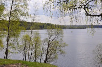 Фото Можайское море: глубокий синий оттенок природы