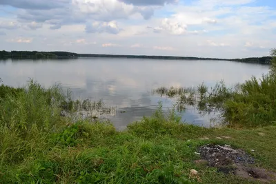 Величественное Можайское море на фото: взгляни на его великолепие