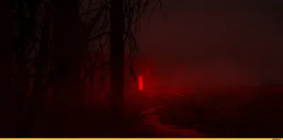 Сквозь туман времени: Фото мрачных пейзажей