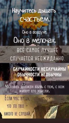 Фото Мудрость дня: выберите формат скачивания - JPG, PNG, WebP