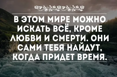 Фотографии, передающие мудрые мысли о любви: вдохновение на каждый день