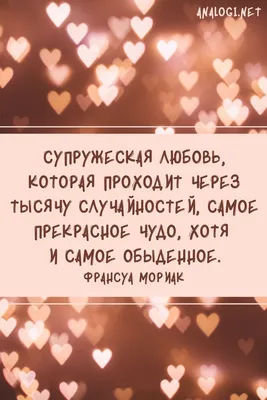 Мудрые картинки про любовь: уникальные моменты в кадре