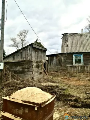 Фотографии Мухен: красота в незаметных деталях