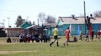 Фото Мухен: красота в незаметных созданиях