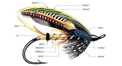Фото мухи на хариуса для рыболовных соревнований