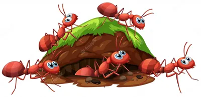 Новое изображение муравья в формате JPG и PNG с информацией о мультике