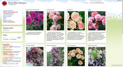 Уникальные фотки мускусных роз: скачать в jpg формате
