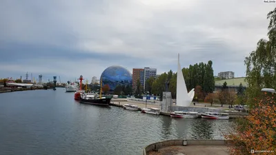 Фотографии подводного мира в формате JPG