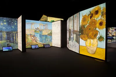 Ванная комната в Музее ван Гога: фотографии, которые вдохновляют
