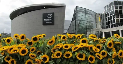 Скачать бесплатно фотографии Музея ван Гога в Амстердаме в хорошем качестве