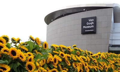 Арт ванной комнаты в Музее Ван Гога в Амстердаме