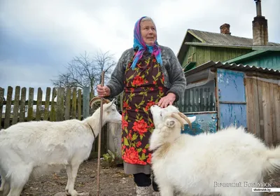 Фото Мужики Козлы Картинки С Надписью: юмор и шутки в картинках