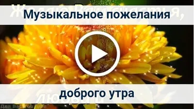 Музыкальные картины для доброго утра