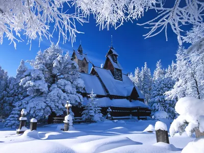 Зимний шик: красивые изображения для вашей аватарки.