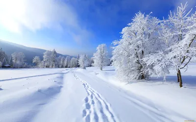 Зимняя сказка: выберите размер и формат для фото На аву природа зима