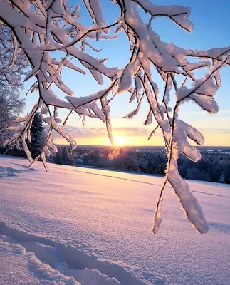 Искусство зимнего пейзажа: загрузите фото На аву природа зима в JPG, PNG или WebP