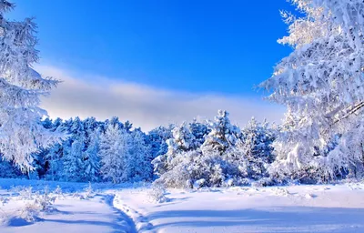 Магия зимнего света: выберите фото На аву природа зима и формат для скачивания