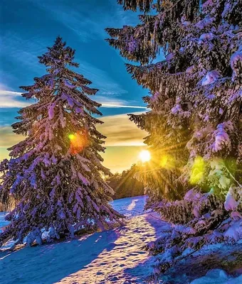 Зимняя красота: фотка На аву природа зима в JPG, PNG или WebP