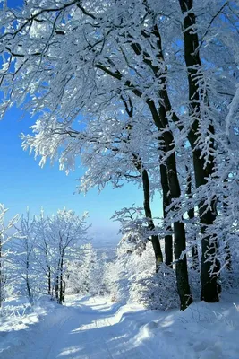 Зимний пейзаж в высоком разрешении: скачайте фото На аву природа зима