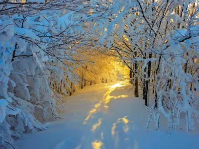 Зимняя феерия: изображение На аву природа зима в разнообразных размерах