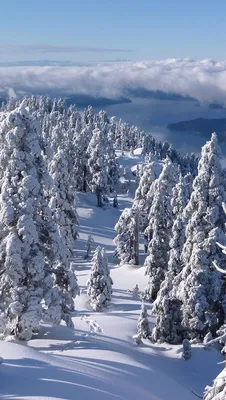 Загадочная зима: выберите формат и размер для фото На аву природа зима