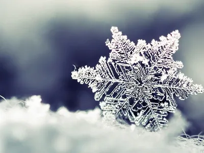 Кристальная зима: размеры и форматы для изображения На аву природа зима