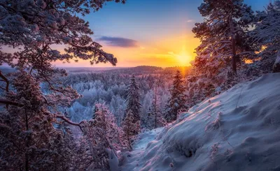 Зимние созвездия: размеры и форматы для вашего фото На аву природа зима