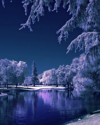Зимний рай: настроение и размеры для фото На аву природа зима