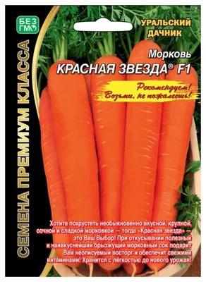 Фото красной моркови: изображение для скачивания