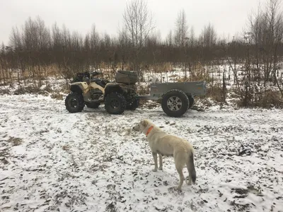 Фото зимних квадроциклов для скачивания