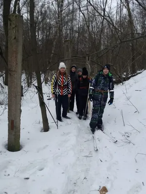 Лыжная прогулка по зимнему лесу: красивые фотографии в хорошем качестве