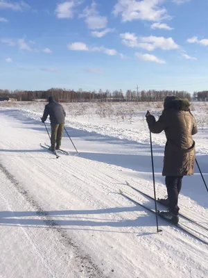 Живописные пейзажи для любителей лыжного спорта: скачайте бесплатно в JPG, PNG, WebP