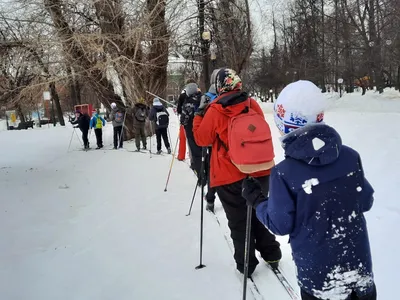 Очарование природы: лыжные трассы лесного уголка