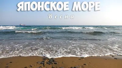 [65+] На море весной фото