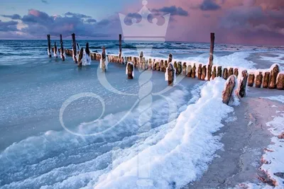 Зимний прибой: Фотографии волн на море в холодное время