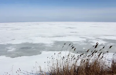 Ледяные встречи: Зимние фотографии на морском побережье