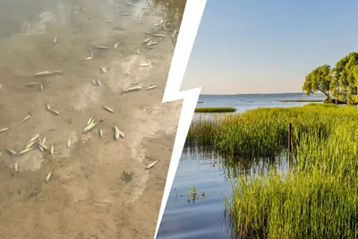 Необычные закаты на озере: картины природы в водной глади