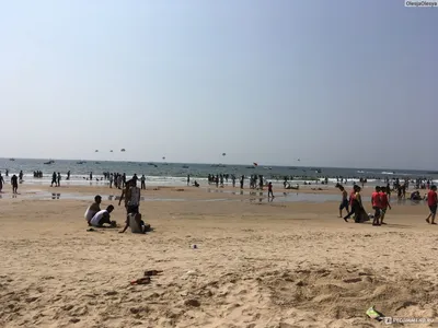 Скачать бесплатно фото полных людей на пляже