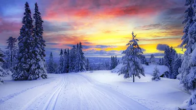 Фото зимнего сказочного пейзажа: выберите размер