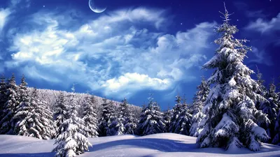 Фотографии зимнего волшебства в различных размерах