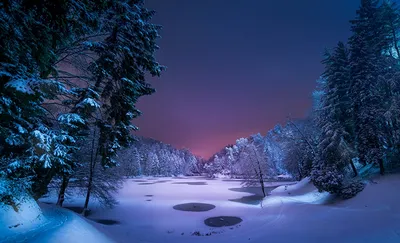 Фотографии зимней природы в высоком разрешении
