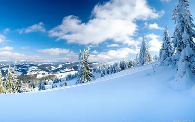 Зимний пейзаж для скачивания: JPG, PNG или WebP